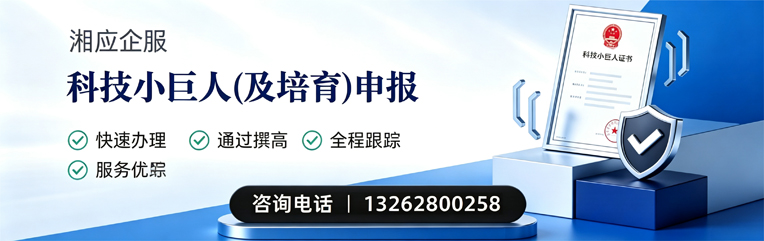 石家庄科技小巨人及培育企业申报服务