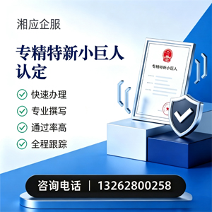 石家庄专精特新小巨人申报服务