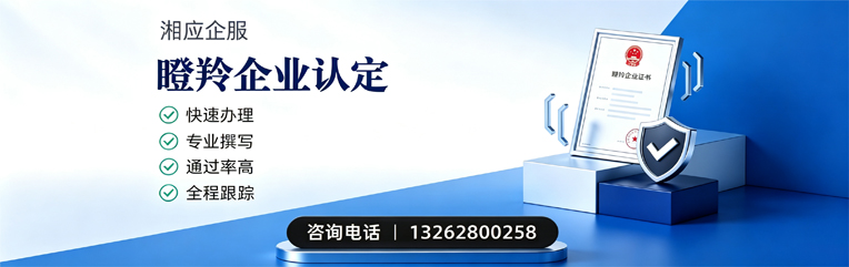石家庄瞪羚企业认定申报服务