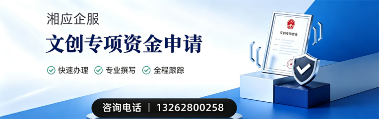 石家庄文创专项资金申报服务