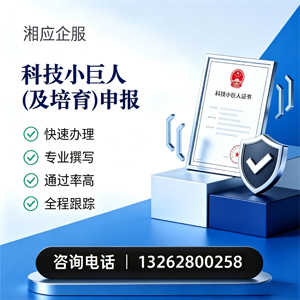 石家庄科技小巨人及培育企业申报服务