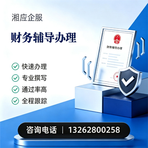 石家庄财务辅导申请服务