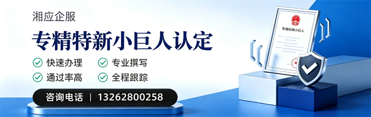 石家庄专精特新小巨人申报服务